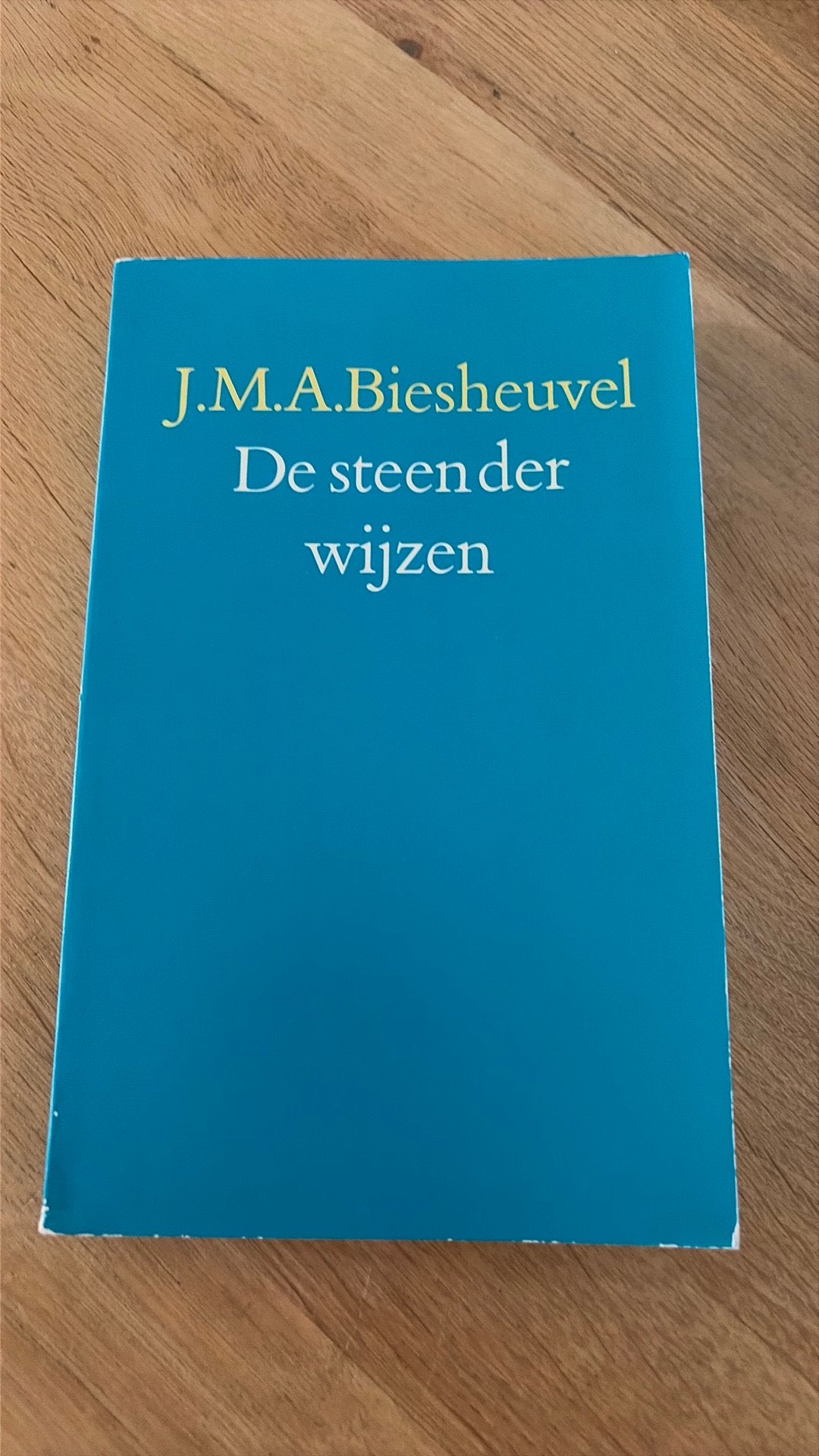 De Steen der Wijzen - J.M.A. Biesheuvel, Ophalen of Verzenden, Gelezen, Nederland