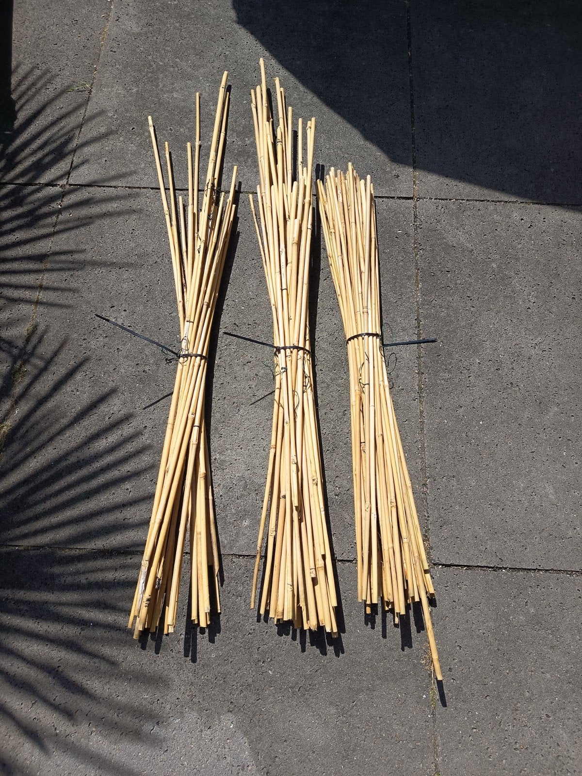 Bamboestokken (ca. 75 stuks, 85cm) - Zo goed als nieuw, Tuin en Terras, Ophalen