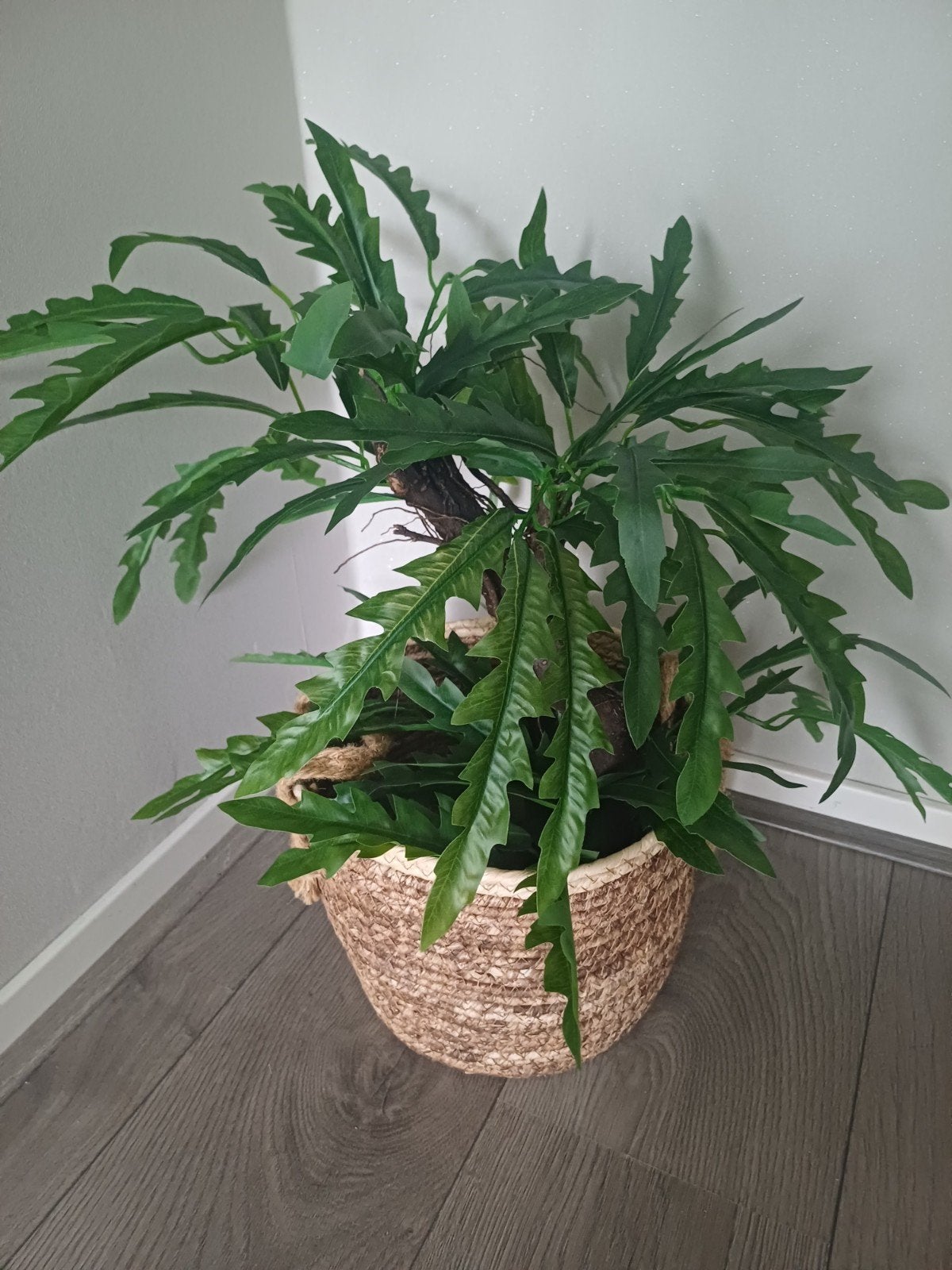 Kunstplant in rieten mand, Binnen, Groen, Onderhoudsvrij, Kunstplant