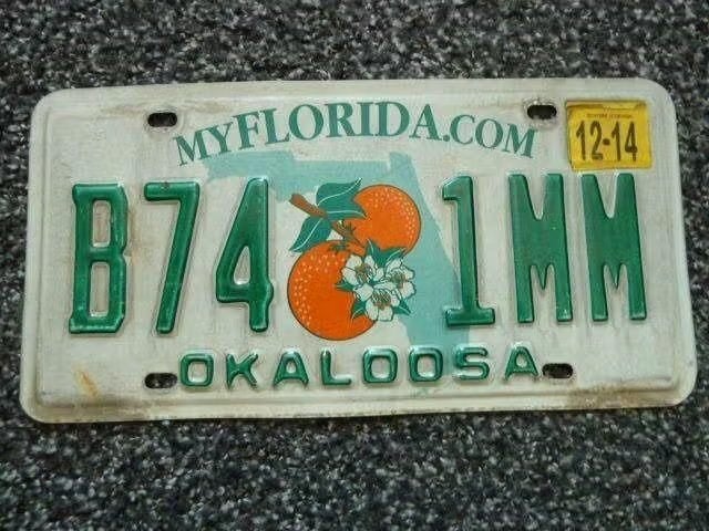 Kentekenplaat licenseplate Florida Okaloosa 2014 USA, Verzenden, Gebruikt, Auto's