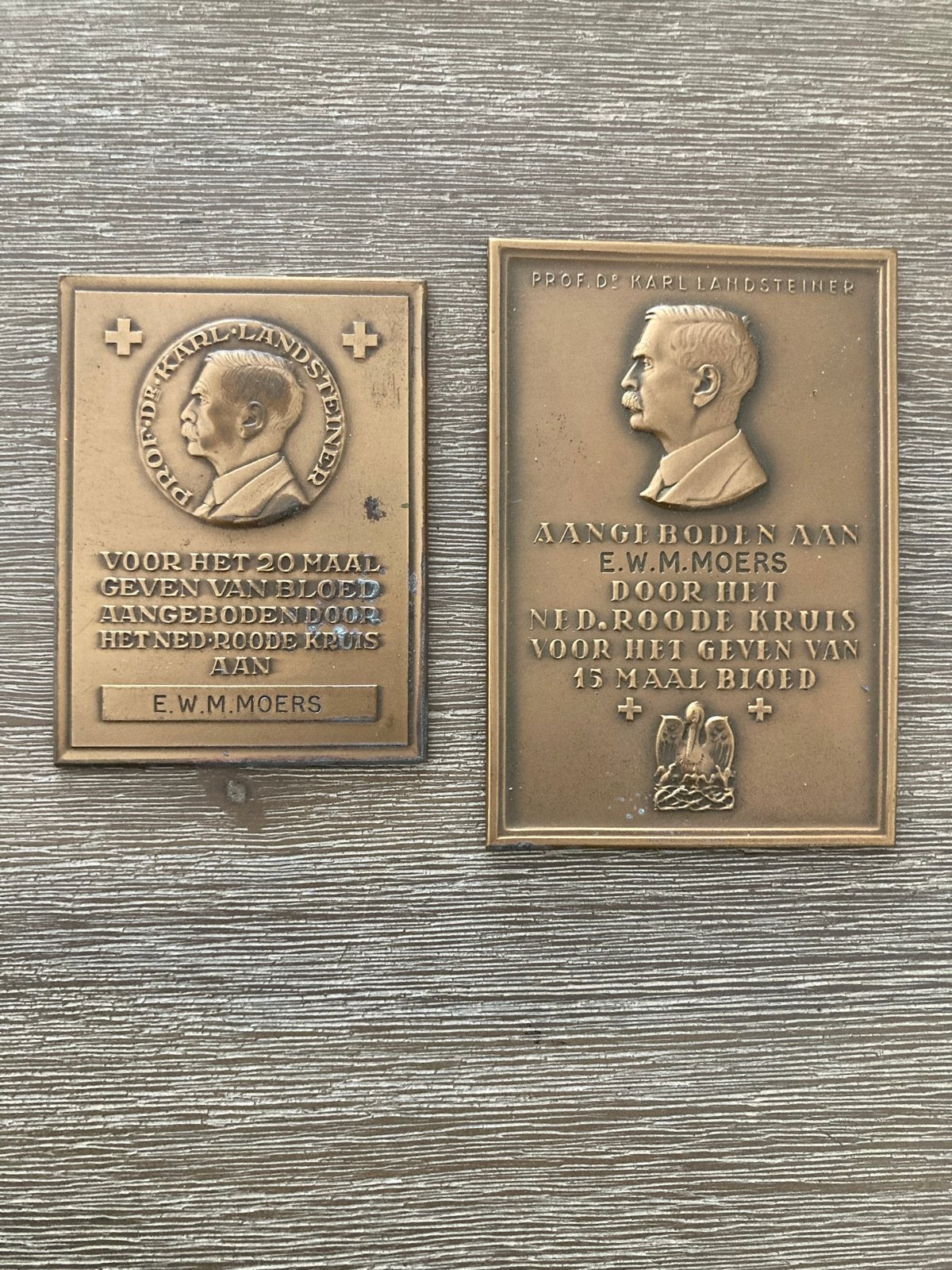 2x Bronzen Plaquettes Bloeddonatie Rode Kruis, Ophalen of Verzenden, Brons, Nederland