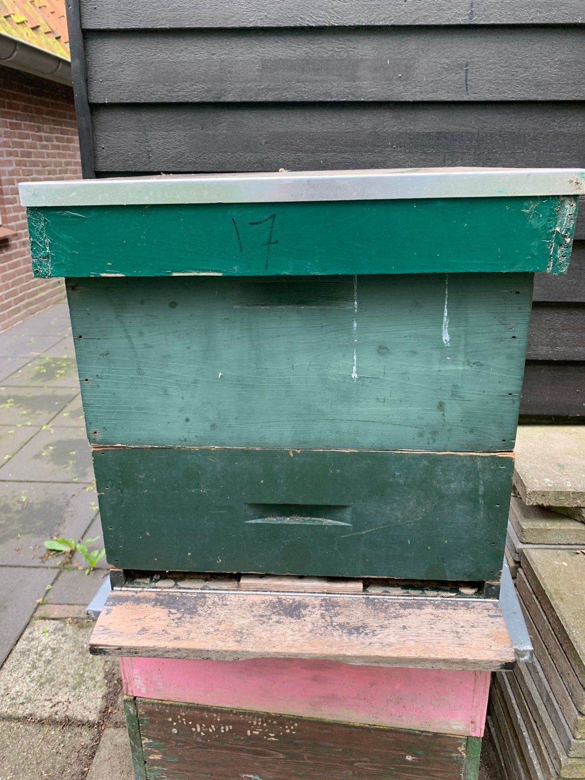 2e hands spaarkast, Dieren en Toebehoren, Insecten en Spinnen, Bijen