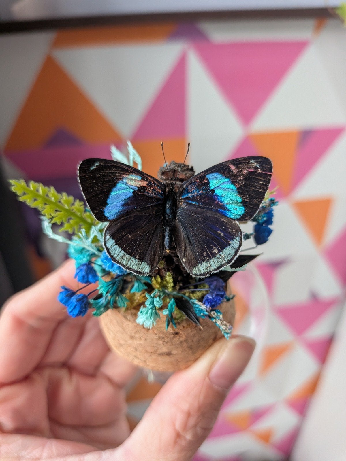 Mini stolp met blauwe vlinder en droogbloemen, Ophalen of Verzenden