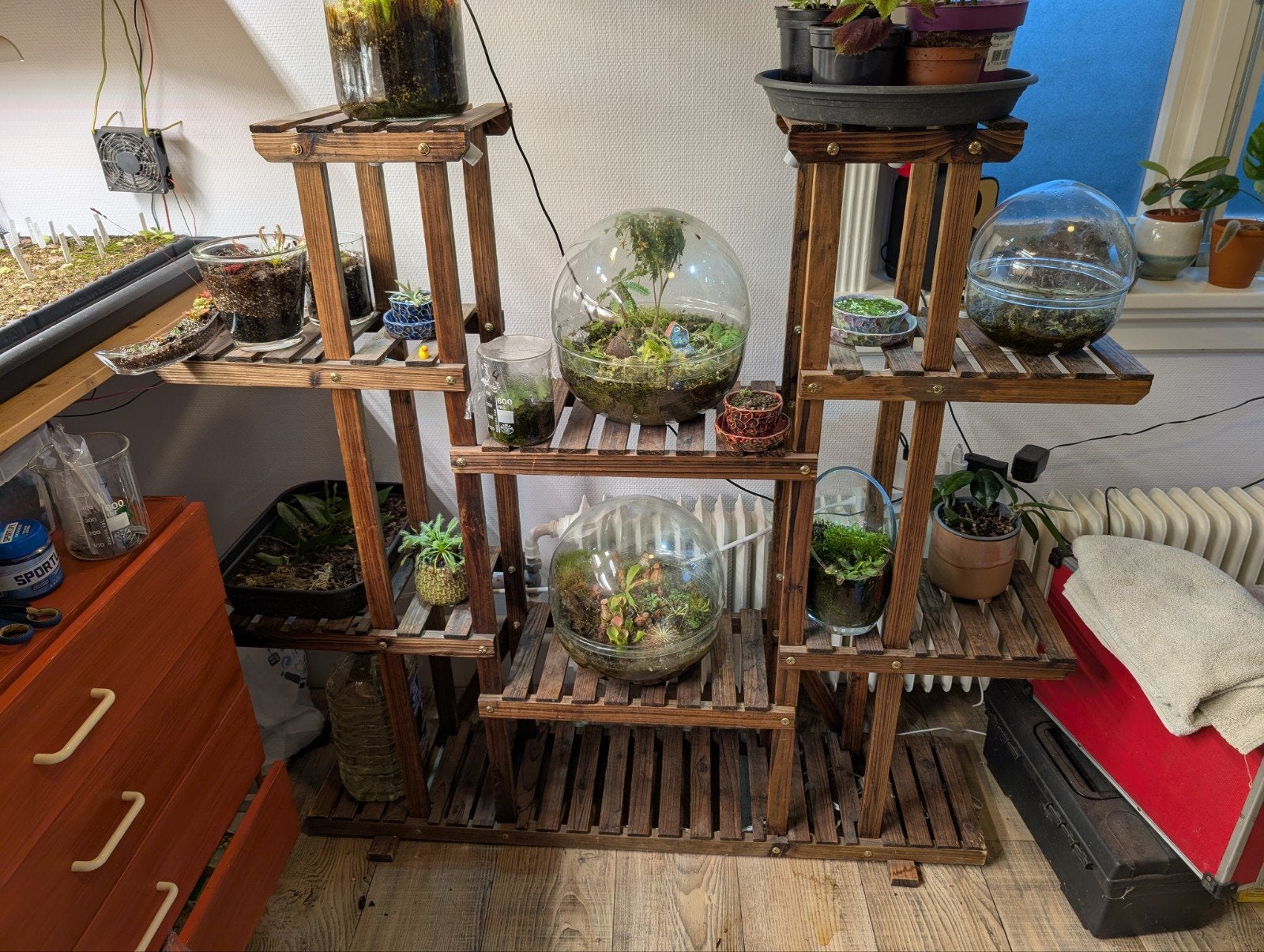 Houten plantenrek / displayrek, Ophalen of Verzenden, Gebruikt