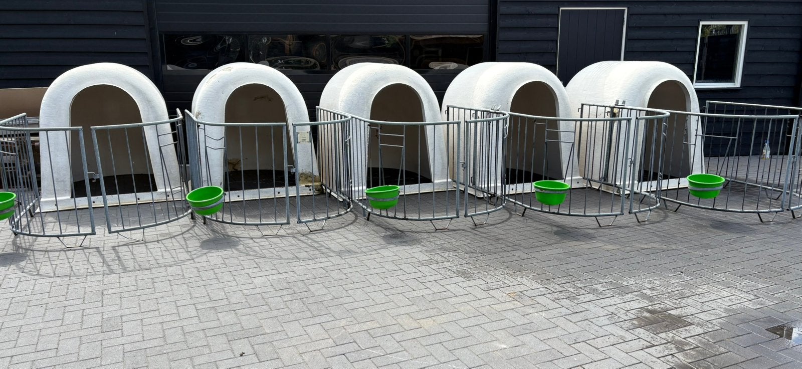kalveriglo met hekwerk, Ophalen of Verzenden, Gebruikt