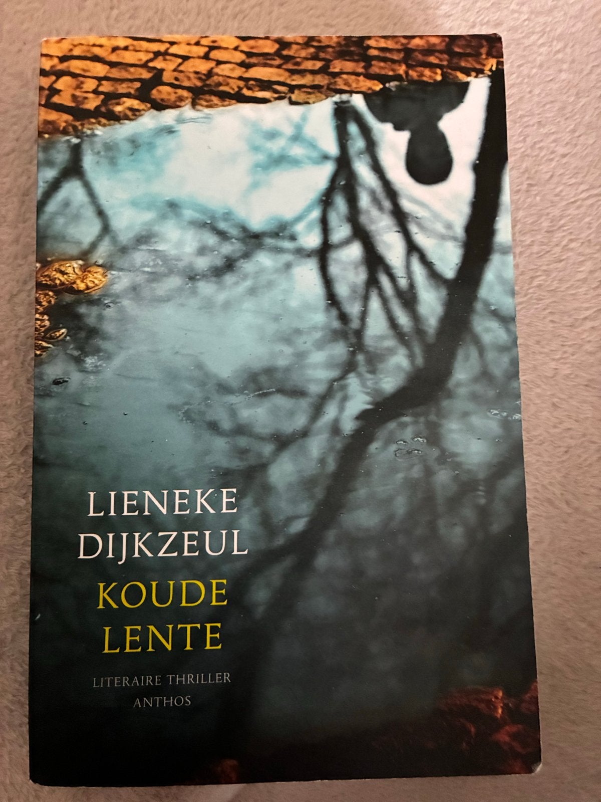 Koude Lente - Literaire Thriller van Lieneke Dijkzeul, Ophalen of Verzenden, Zo goed als nieuw, Nederland