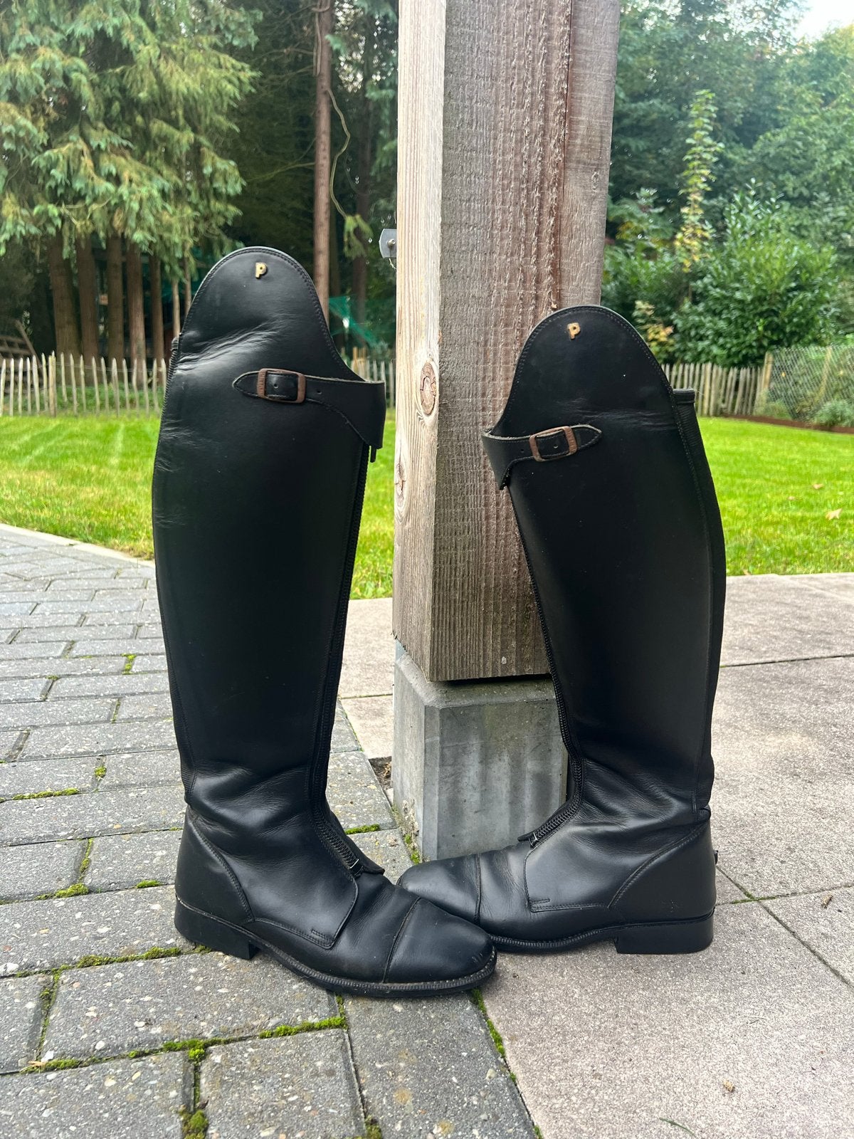Petrie Verona rijlaarzen maat 39, Gebruikt, Ritssluiting, Dressuur, Ophalen of Verzenden