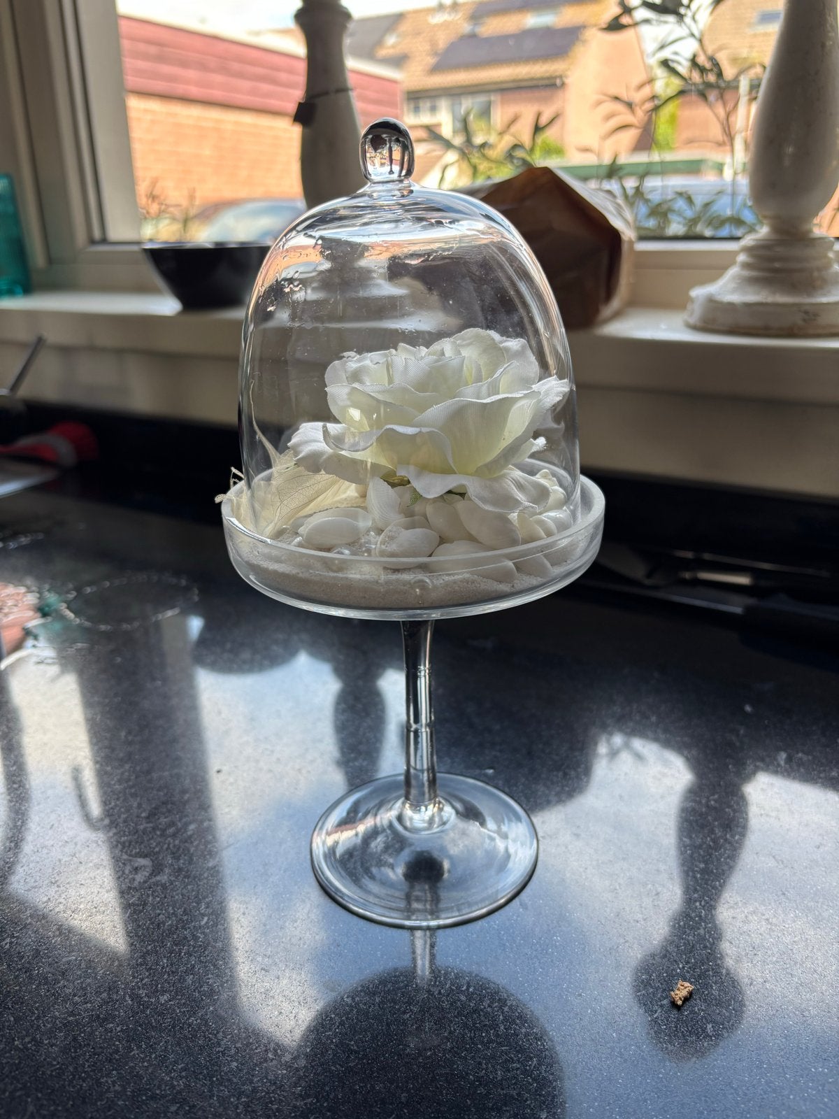 Decoratieve glazen stolp met witte roos, Ophalen, Zo goed als nieuw, Modern, Wit