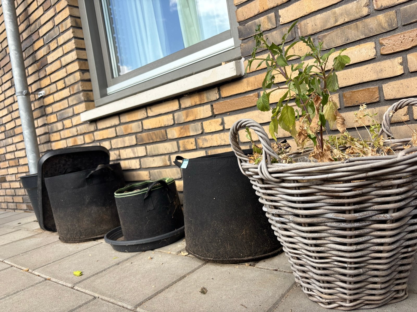 Diverse tuingereedschap en potten - Alles moet weg!, Ophalen, Kunststof, Gebruikt, Rond