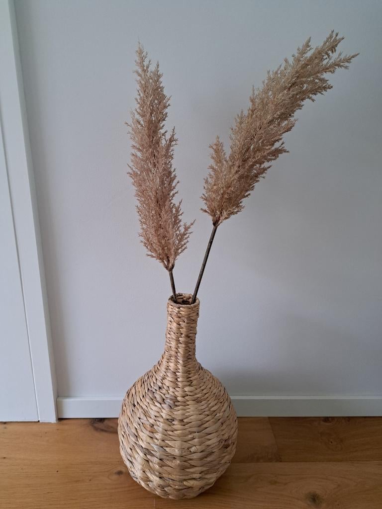 Gevlochten vaas met pampas pluimen, Overige materialen, Overige kleuren, Ophalen of Verzenden, Zo goed als nieuw