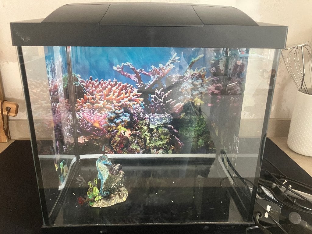 Aquarium superfish start 30, Dieren en Toebehoren, Vissen | Aquaria en Toebehoren, Ophalen, Gebruikt, Leeg aquarium, Inclusief deksel
