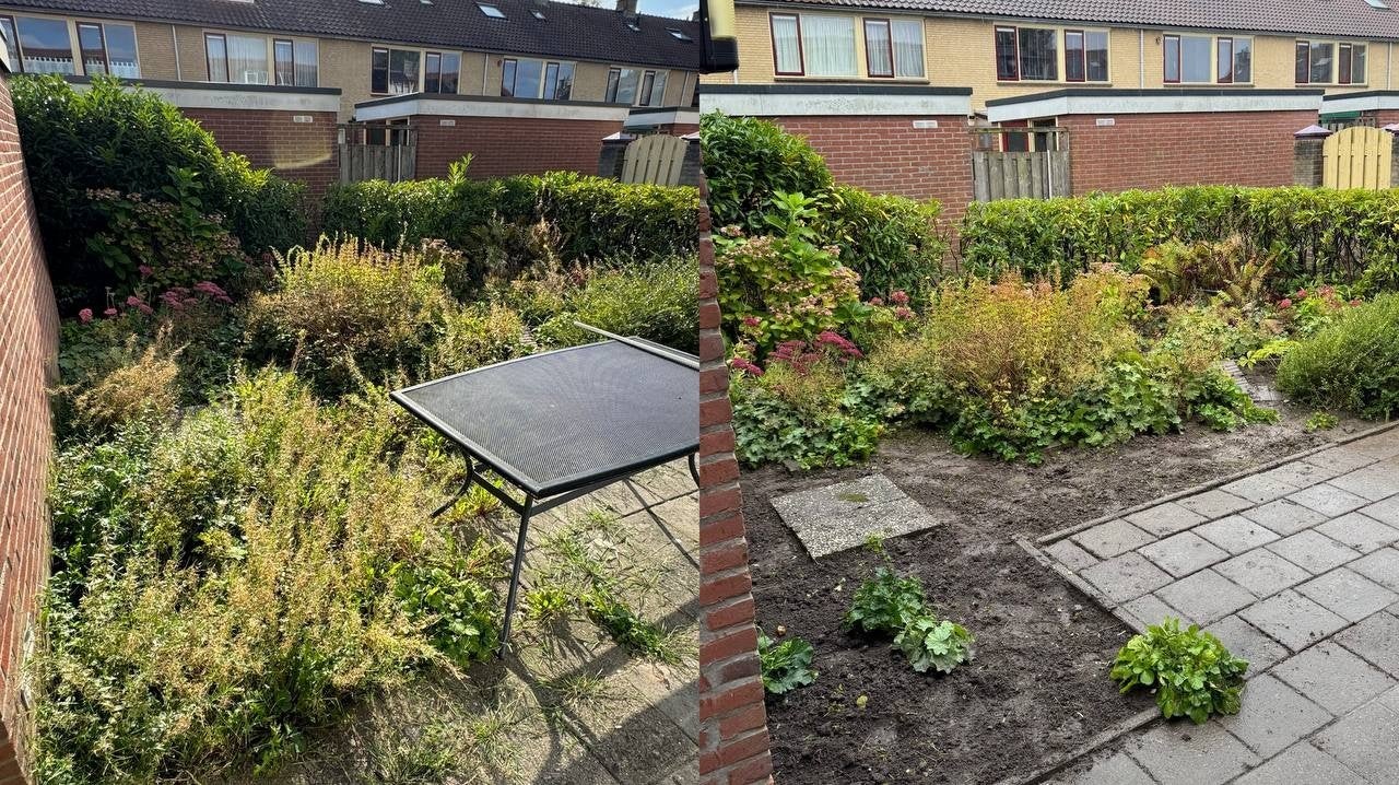 Hovenier Enschede en Hengelo, Ophalen, Nieuw, 20 m² of meer