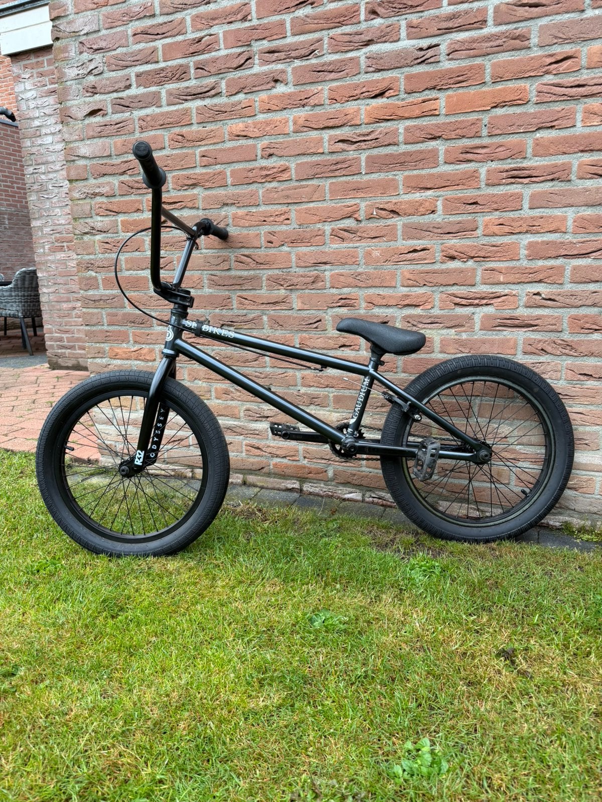 SE Bikes Freestyle BMX, Fietsen en Brommers, Ophalen, Gebruikt, Aluminium, Velgrem