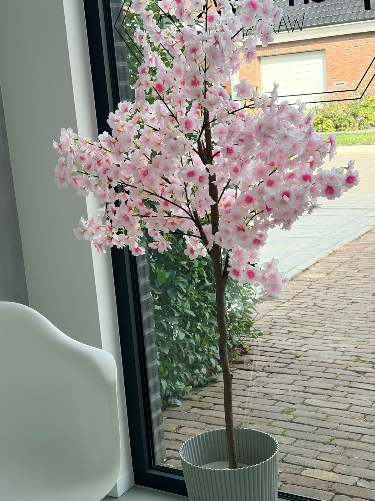 Bloesemboom 2 stuks, Ophalen, Volle zon, Overige soorten, 100 tot 250 cm