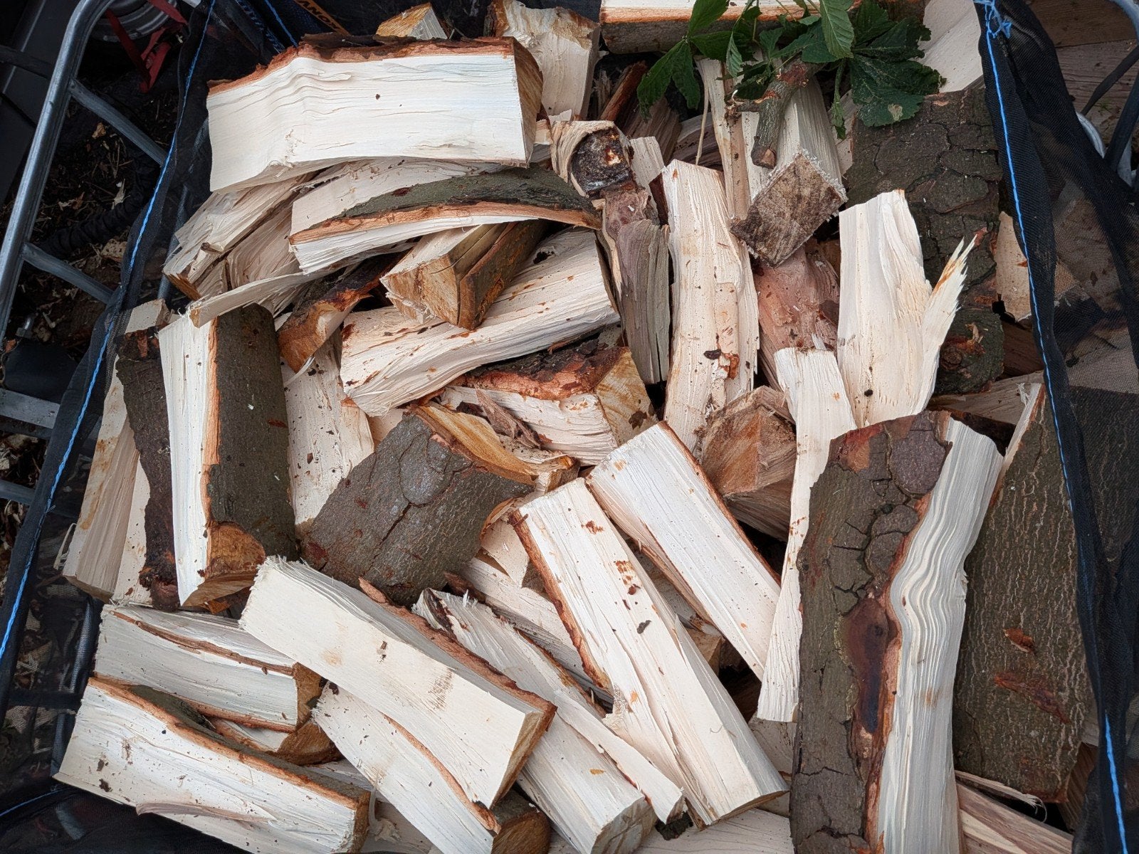 Vers gekloofd hout, 6 m³ of meer, Ophalen of Verzenden, Overige houtsoorten, Blokken