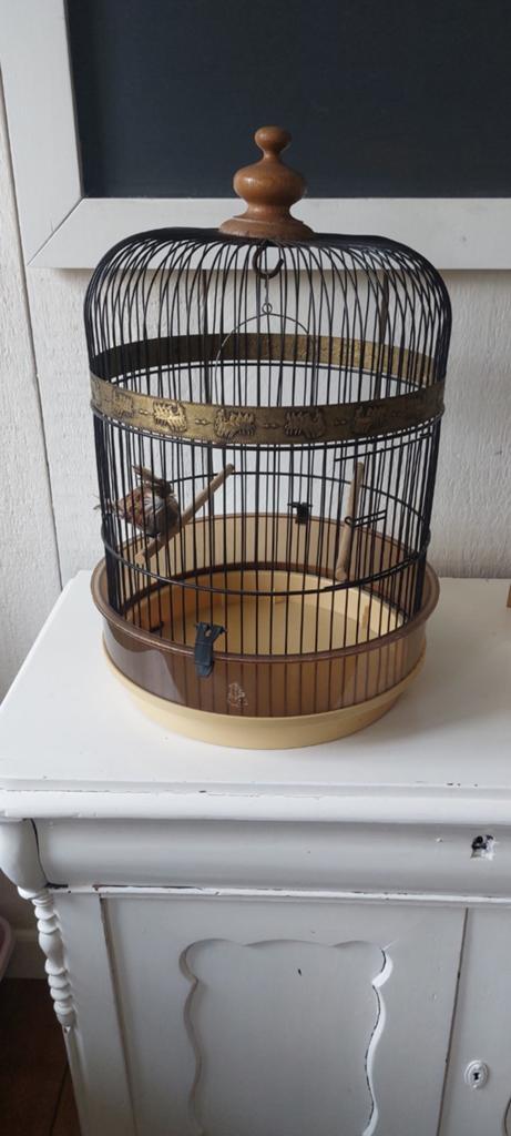 Vintage vogelkooi hout metaal en plastic nep vogel, Ophalen of Verzenden, Nieuw, Hout, Vogelkooi