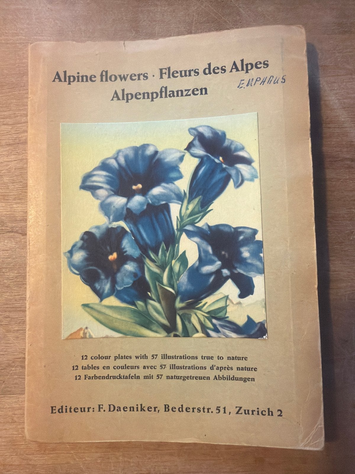 Alpine Flowers - Alpenpflanzen - Fleurs des Alpes, Ophalen of Verzenden, Gelezen, Bloemen, Planten en Bomen
