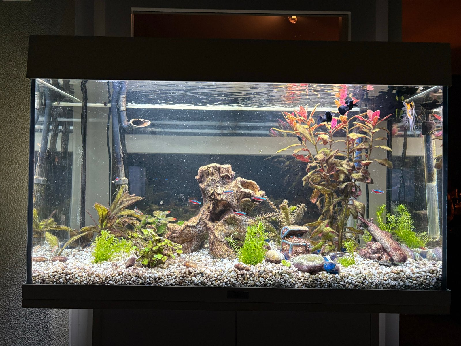 Compleet Aquarium 125L meubel, filter, Vissen, Toebehoren, Ophalen, Gevuld zoetwateraquarium