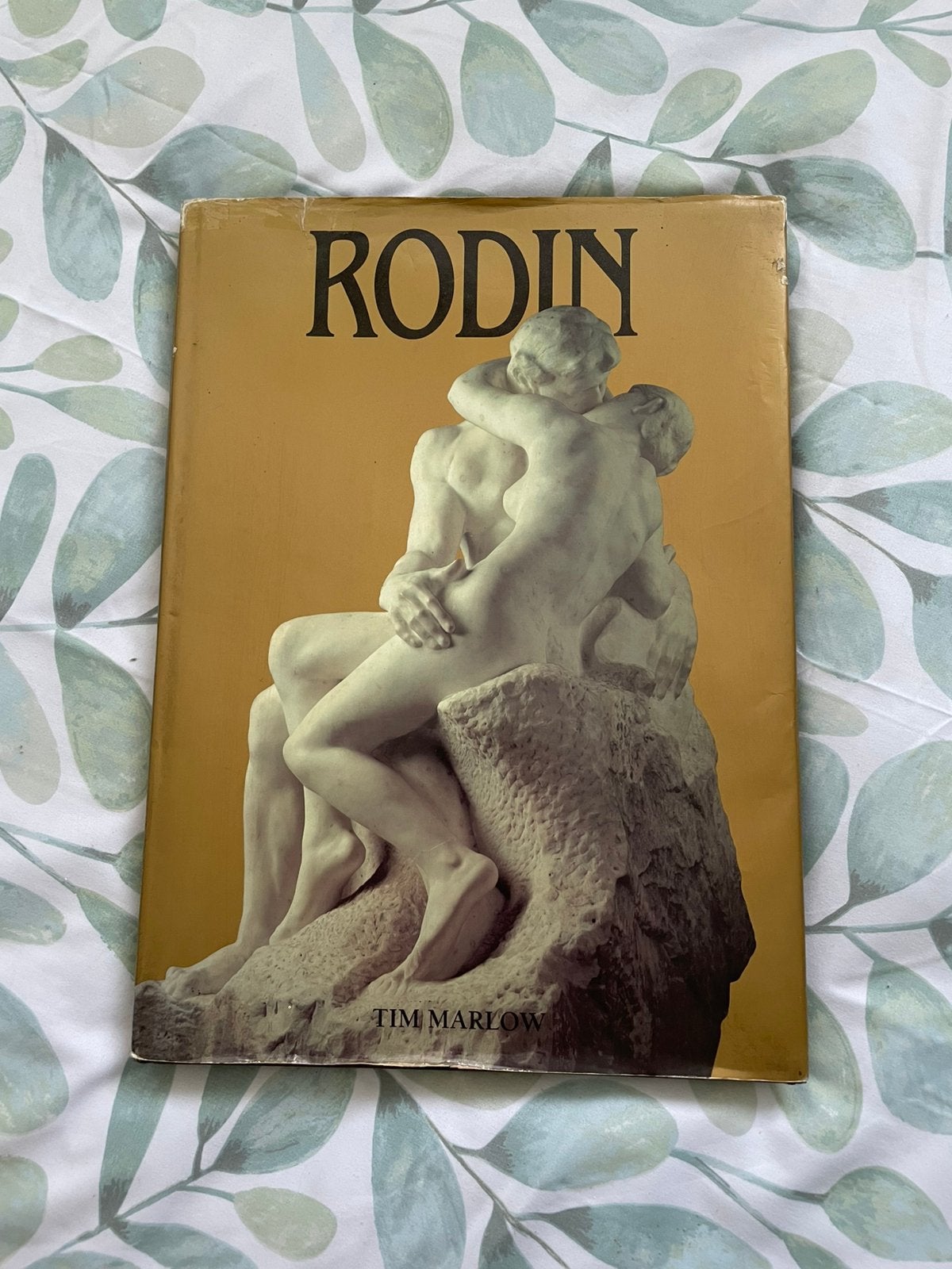 Rodin groot boek €8,50, Ophalen of Verzenden, Zo goed als nieuw