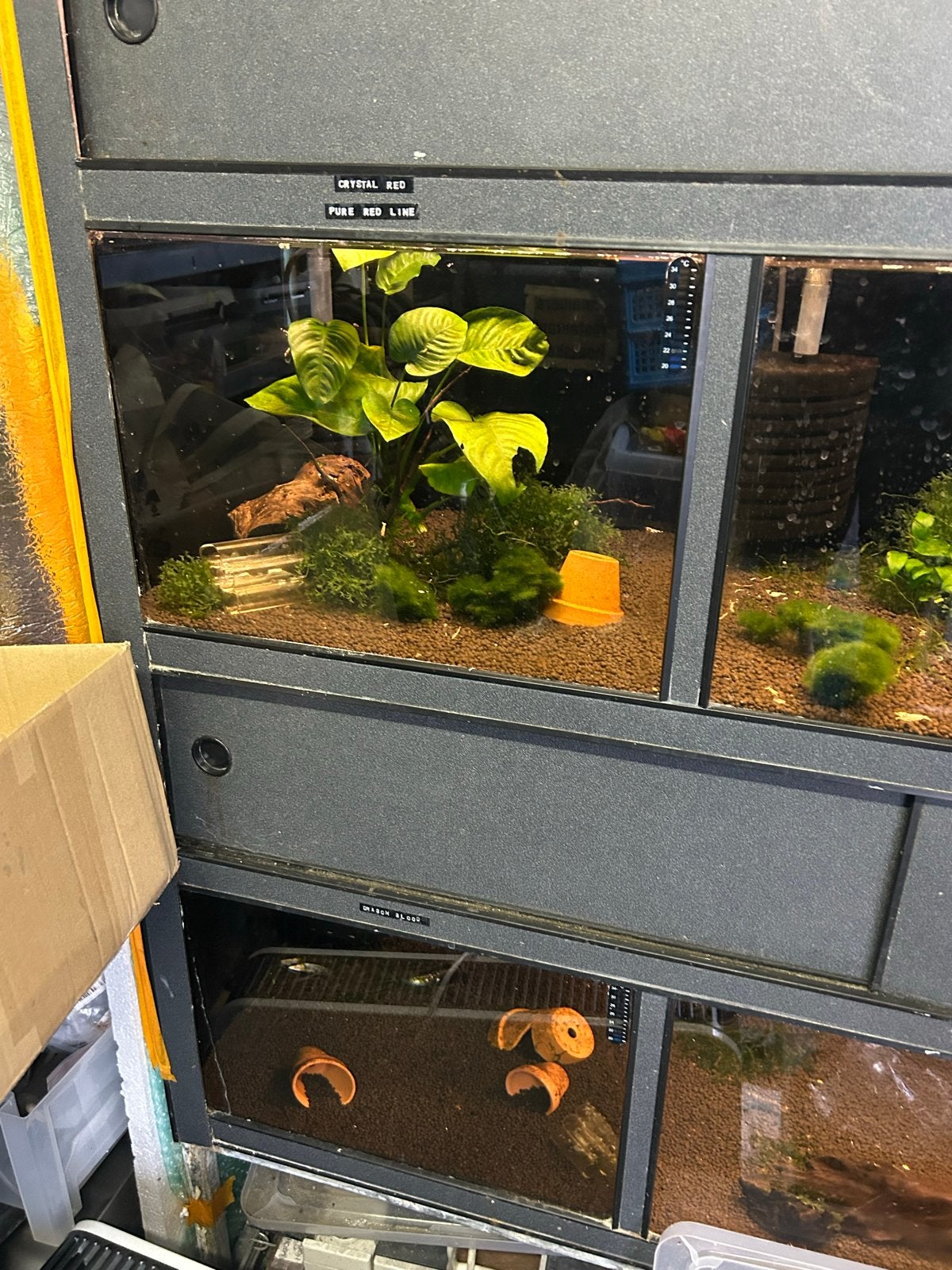 Aquarium stelling met 9 geschakelde bakken, Ophalen, Gebruikt, Leeg aquarium