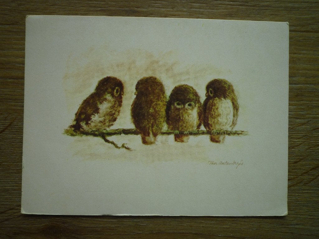 Kunstkaart met jonge uil uilen op tak Thor Axelsen Drejer, Verzamelen, Ophalen of Verzenden, 1980 tot heden, Hond of Kat