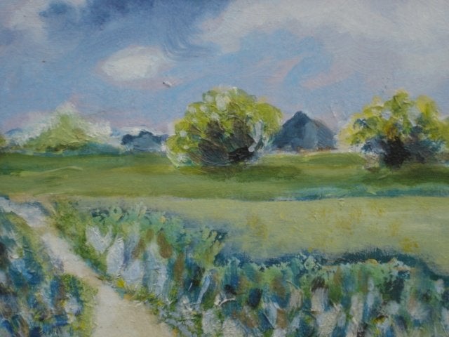 Landschap schilderij TEXEL Wouter Weerman, Ophalen, Overige stijlen, Doek, Landschap