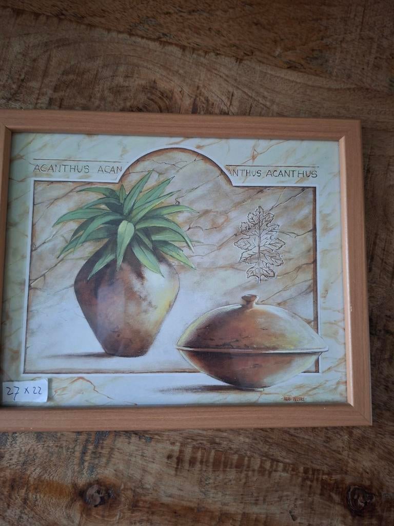 Ingelijste foto Acanthus planten griekse stijl 27x22 cm, Ophalen of Verzenden