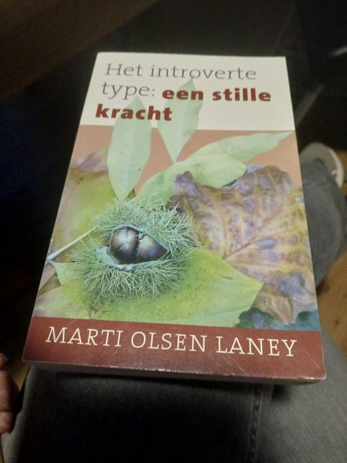 Het introverte type: een stille kracht - Marti Olsen Laney, Ophalen of Verzenden, Gelezen, Marti Olsen Laney, Overige