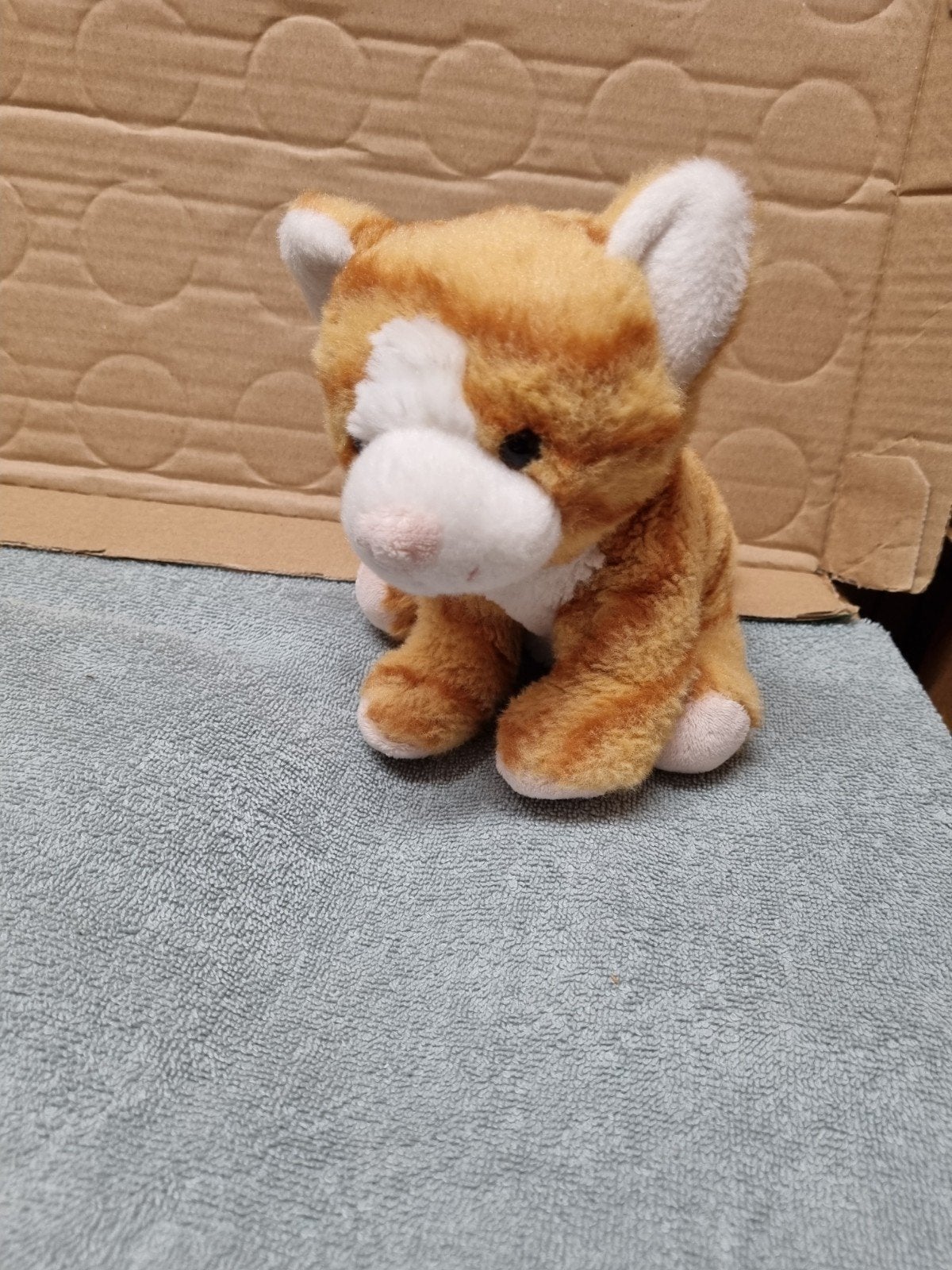 semo knuffel kat poes oranje nr 30, Ophalen of Verzenden