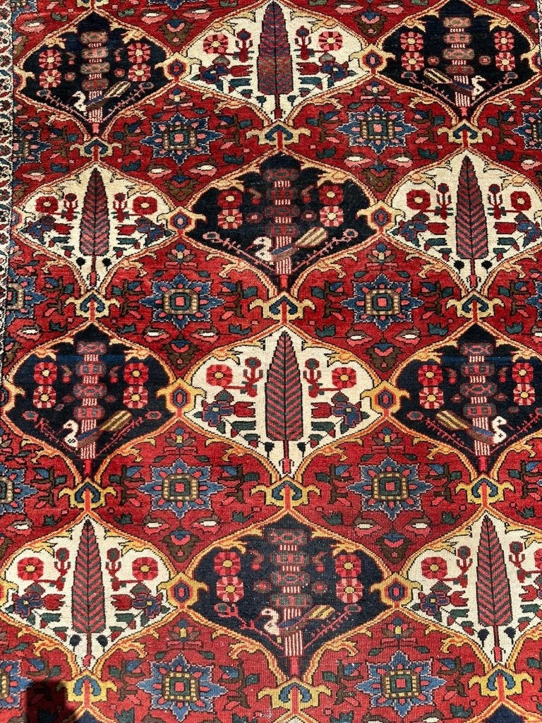 Bakhtiar tapijt – 210121 cm – Perzische cipressen & pauwen, 100 tot 150 cm, Wol, 200 cm of meer, Ophalen of Verzenden