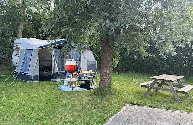 Te koop, teab superleuke Kip caravan mini kip EK37, Vast bed, Standaardzit, Luifel, Kip