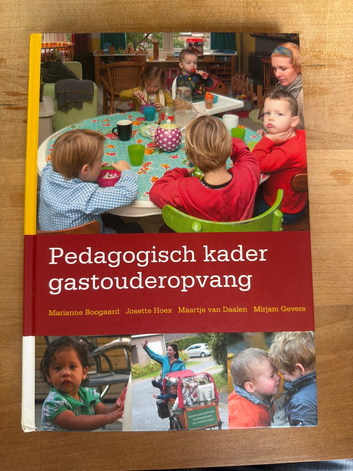 Pedagogisch kader gastouderopvang: Kennis en inspiratie, Ophalen of Verzenden, Gelezen, Opvoeding tot 6 jaar