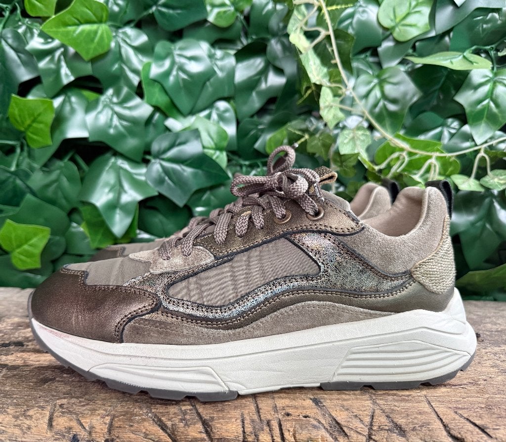 gewoon Nieuwe sneakers van Xsensible maat 40 (wijdte G), Bruin, Nieuw, Ophalen of Verzenden, Sneakers of Gympen