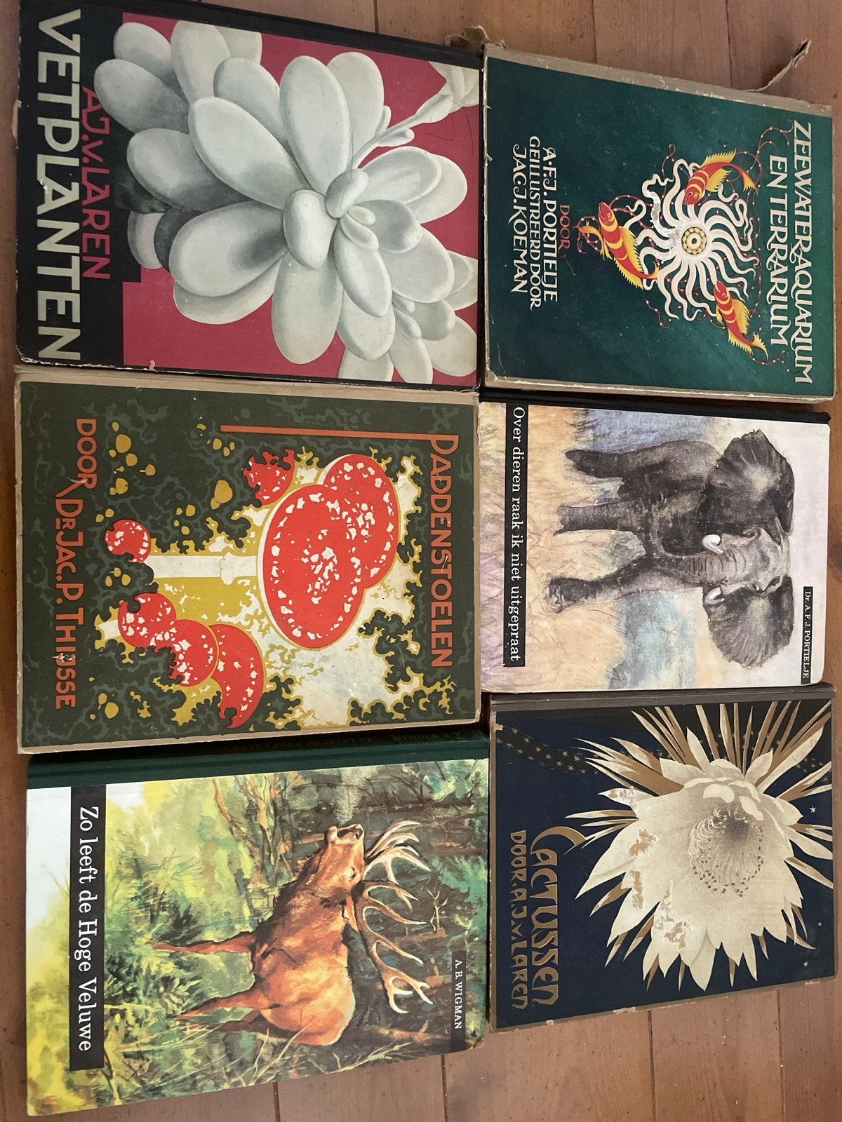 6 vintage natuurboeken: paddenstoelen, vetplanten, etc., Boeken, Ophalen of Verzenden, Gelezen, Natuur algemeen