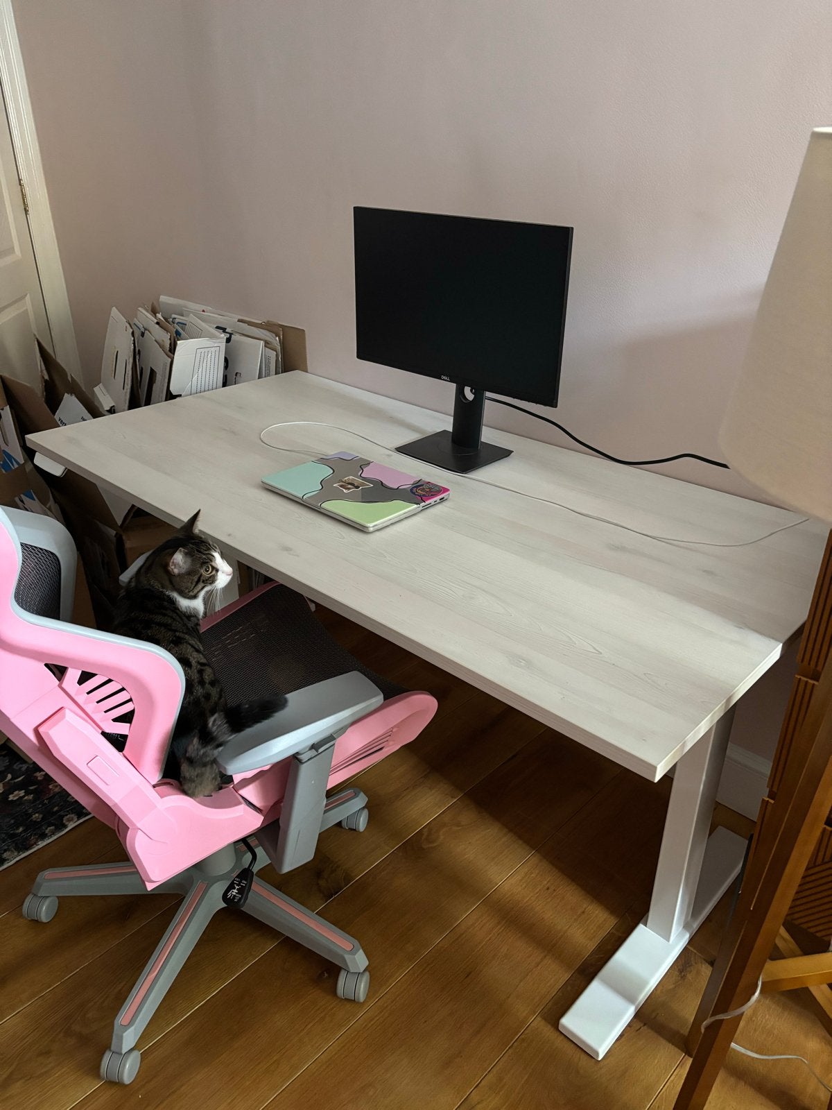 Ivono bureau - Kato Sit-Stand Desk SMART 160 x 80 CM, Ophalen, Hout, Kabelgoot, Zo goed als nieuw
