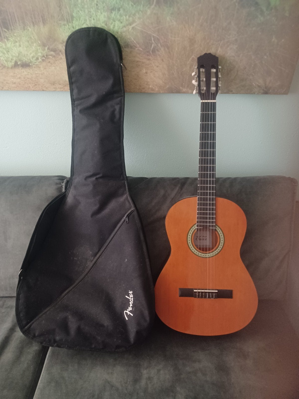 Klassieke gitaar 'Special Edition Classic' met Fender hoes, Ophalen, Gebruikt, Klassieke of Spaanse gitaar, Met koffer
