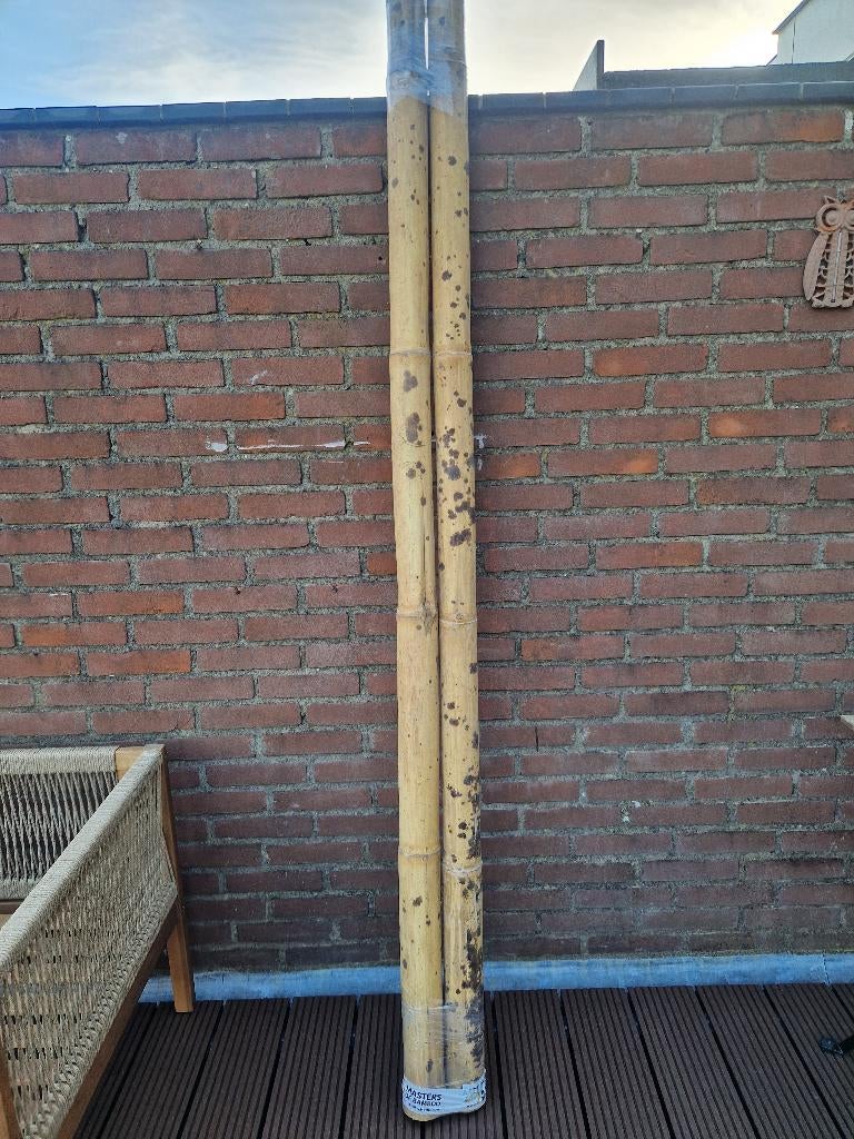 Bamboe Paal Guadua 200 cm x Ø 5-7 cm, Ophalen, Nieuw, 180 tot 250 cm, Palen