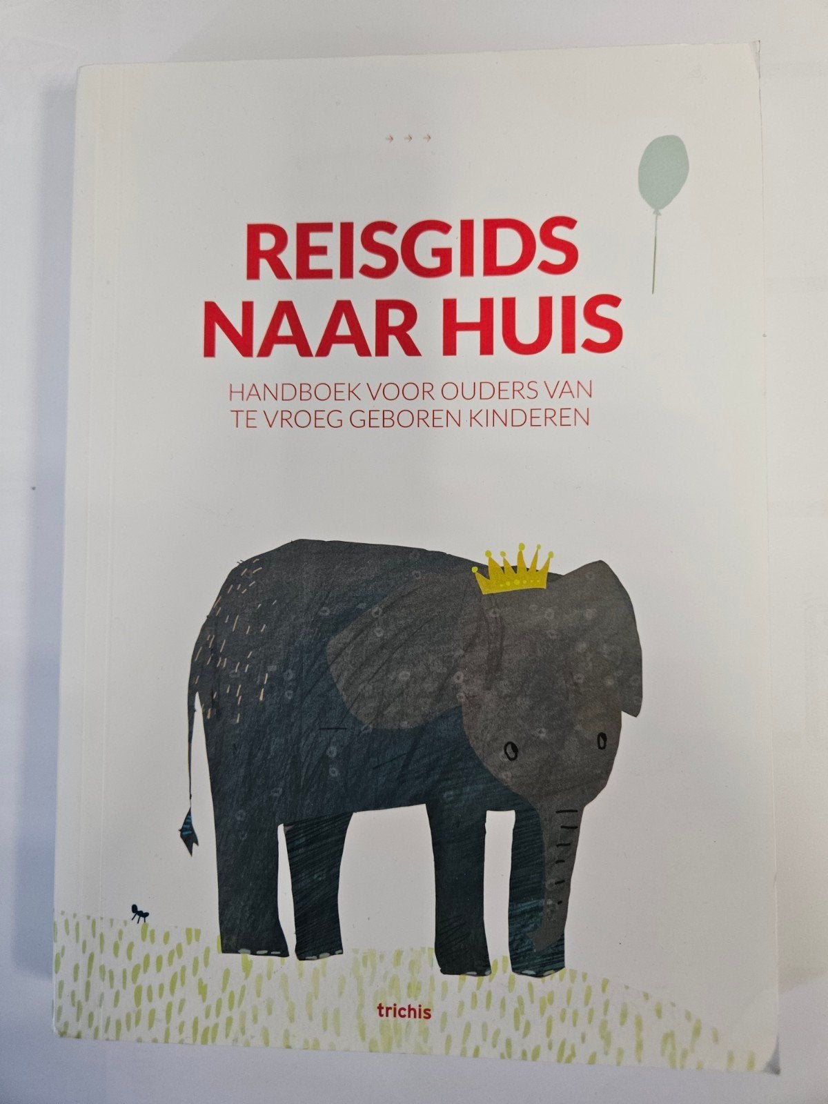 Reisgids naar Huis: Zita Bebenroth, Ophalen of Verzenden, Gelezen, Zwangerschap en Bevalling
