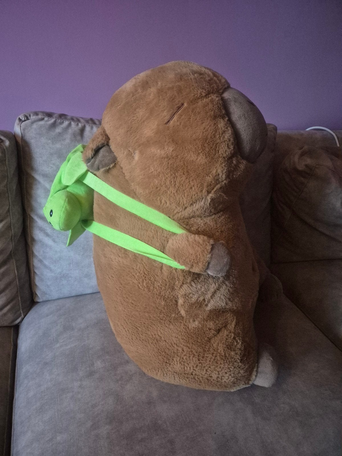 Grote knuffel Capybara met schildpad rugzak - ongeveer 60 cm, Overige typen, Ophalen of Verzenden, Zo goed als nieuw, Middelgroot (20 tot 80 cm)
