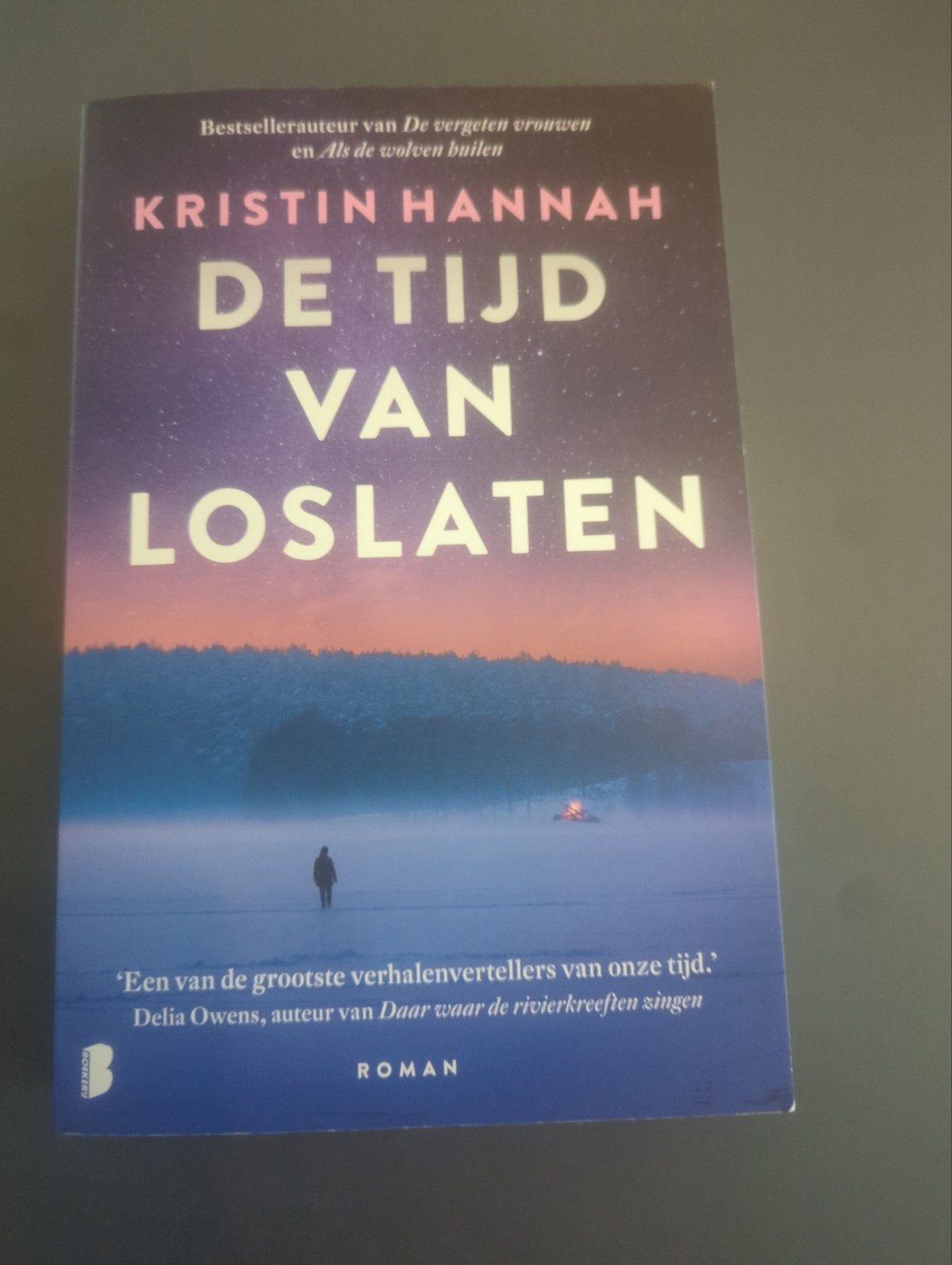 De Tijd Van Loslaten - Kristin Hannah (Roman), Ophalen of Verzenden, Zo goed als nieuw, Kristin Hannah