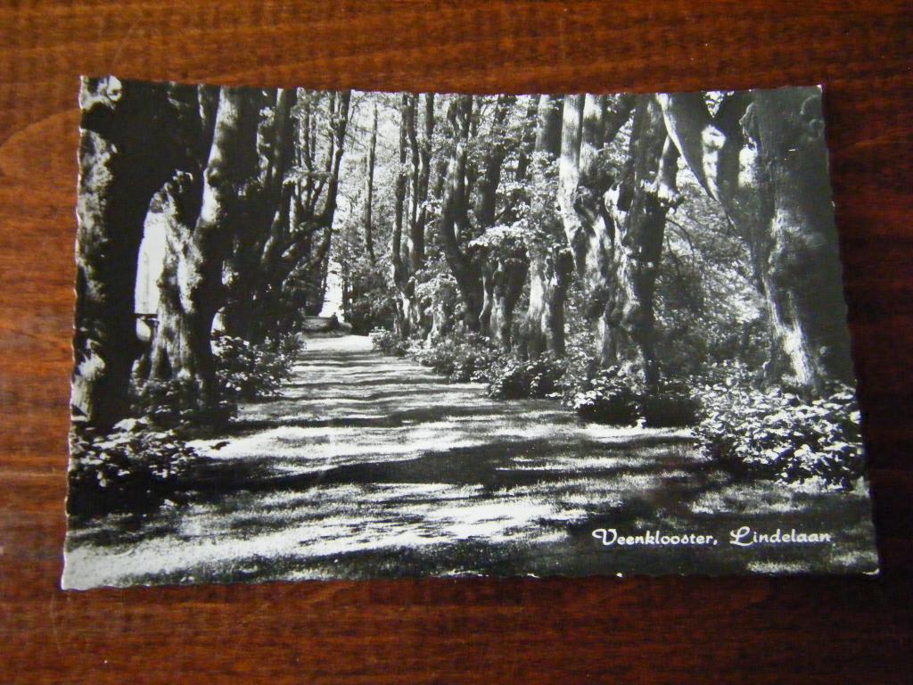 N37 - Veenklooster - Lindelaan - Oud, Ophalen of Verzenden, 1960 tot 1980, Friesland