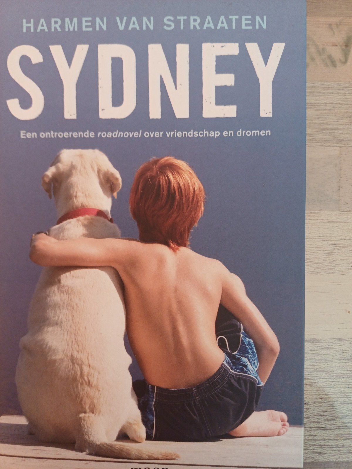 Harmen van Straaten - Sydney, Ophalen of Verzenden, Zo goed als nieuw, Harmen van Straaten