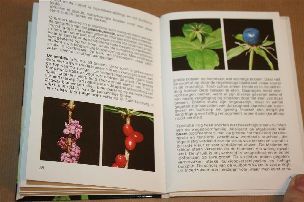 Bessen, bramen en andere wilde vruchten - Manfried Pahlow, Ophalen of Verzenden, Gelezen, Bloemen, Planten en Bomen