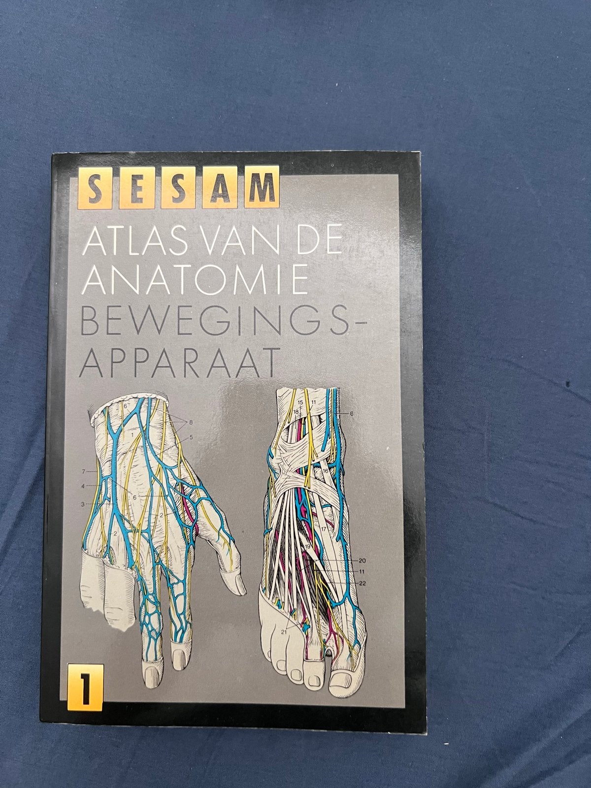 Sesam Atlas van de Anatomie en Fysiologie (4 delen), Boeken, Studieboeken en Cursussen, Ophalen of Verzenden, Beta, Zo goed als nieuw