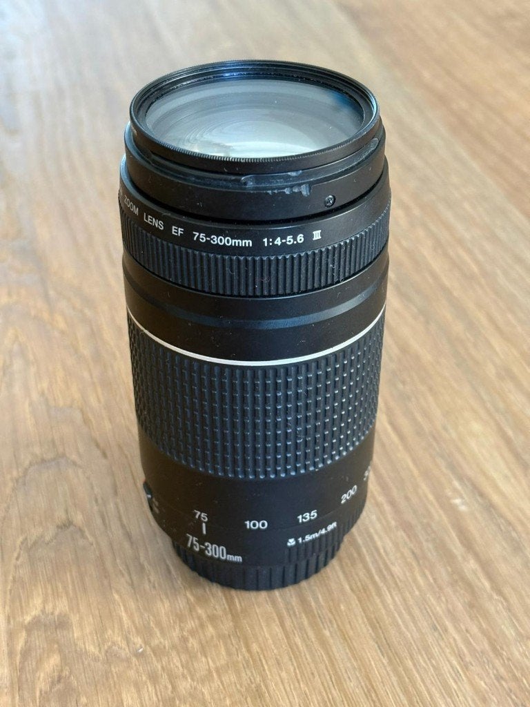 Canon EF 75-300mm F/4-5.6 III, Audio, Tv en Foto, Fotografie | Lenzen en Objectieven, Ophalen, Gebruikt, Telelens, Zoom