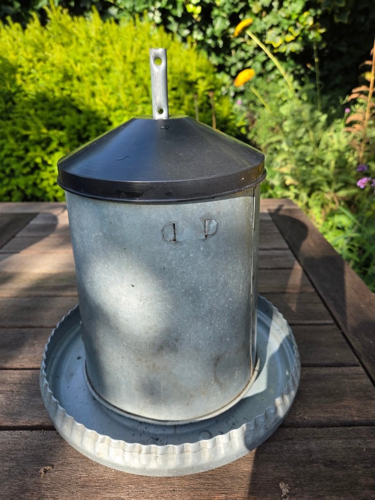 te koop zinken voersilo voor kippen, Dieren en Toebehoren, Pluimvee, Vrouwelijk, Kip