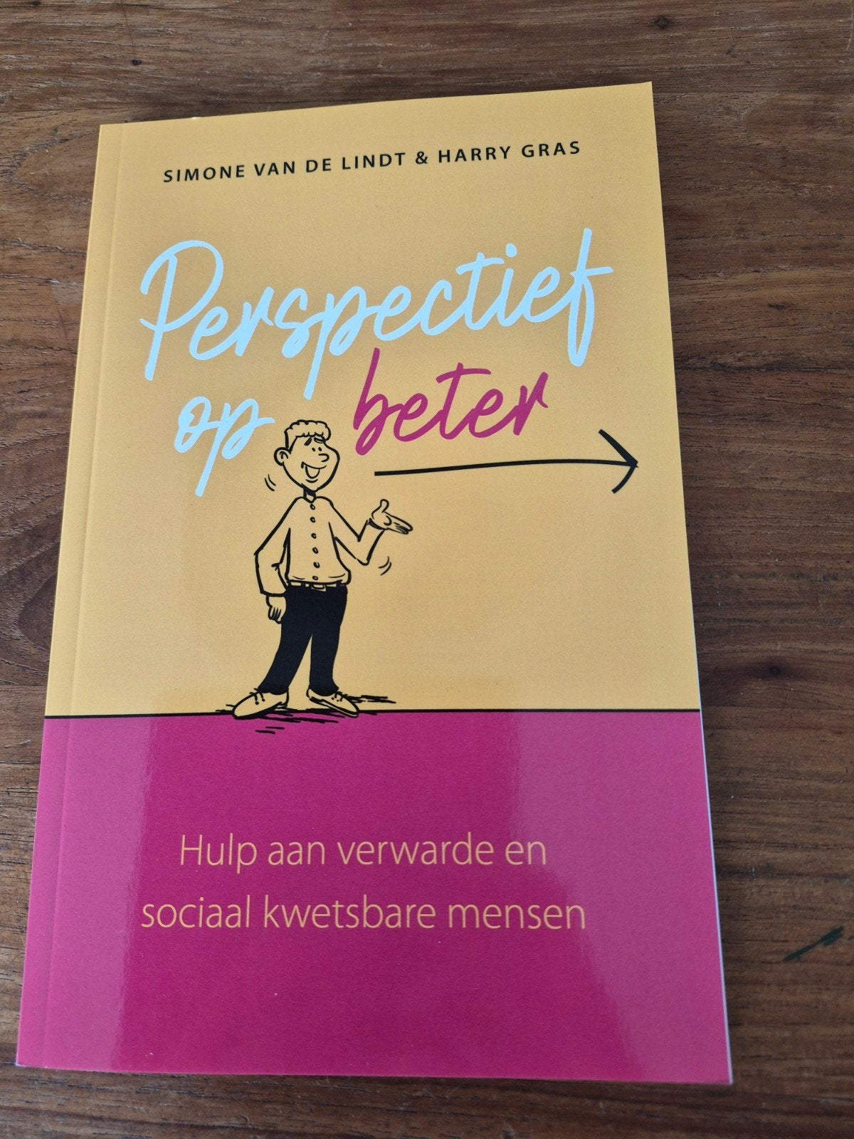 Perspectief op beter: Hulp aan kwetsbare mensen, Ophalen of Verzenden, Zo goed als nieuw, Harry Gras