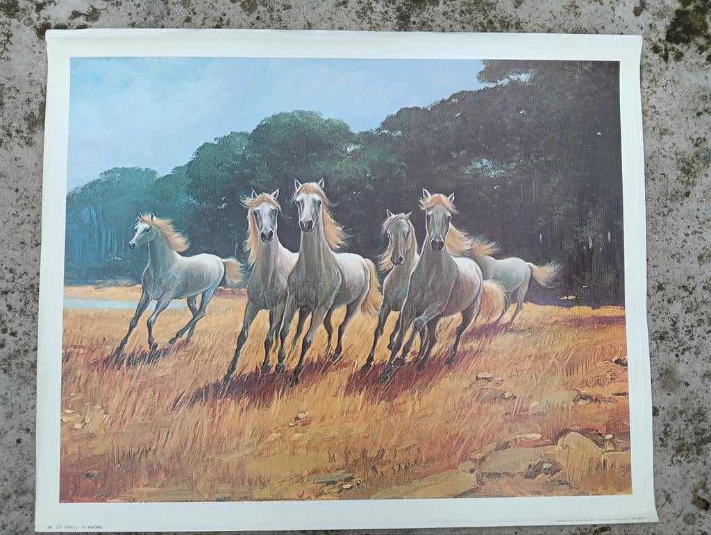 Prachtige Paardenprint - Wilde Paarden in Galop, Antiek en Kunst, Kunst | Schilderijen | Klassiek, Ophalen of Verzenden