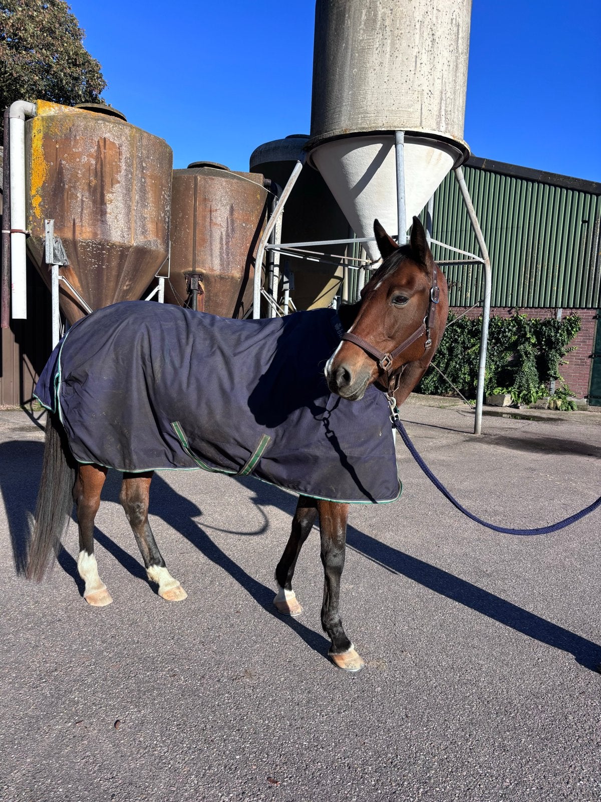 Bucas Smartex Rain paardendeken – maat 140, Bucas, Klittenbandsluiting, Ophalen of Verzenden, Zo goed als nieuw