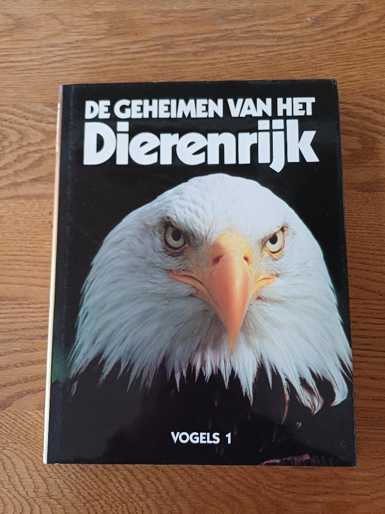 De geheimen van het dierenrijk - Vogels 1, Boeken, Ophalen of Verzenden, Gelezen, Vogels